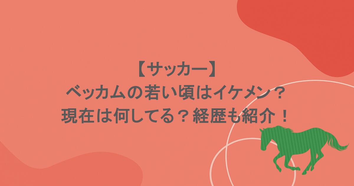 【サッカー】ベッカムの若い頃はイケメン?現在は何してる?経歴も紹介!